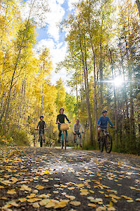 A group of four people ride bikes along a tree-lined path covered in golden autumn leaves under a bright blue sky.
