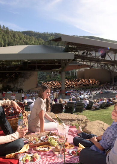 A family enjoys a picnic on a checkered blanket while watching an outdoor concert in a scenic location with mountains in the background.