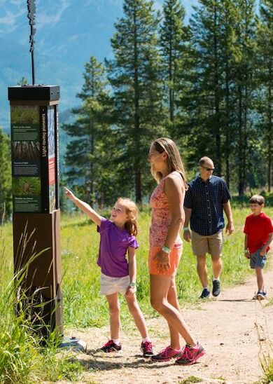 A family of four hiking, with two children and two adults, stopping to read a signpost in a scenic wooded area with mountains in the background.