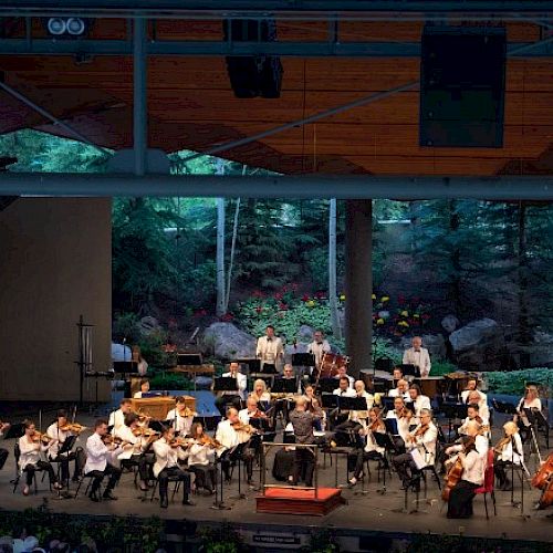 An orchestra is performing on stage at the Bravo! Vail Music Festival, with musicians playing various instruments. The backdrop features a natural forest scene.