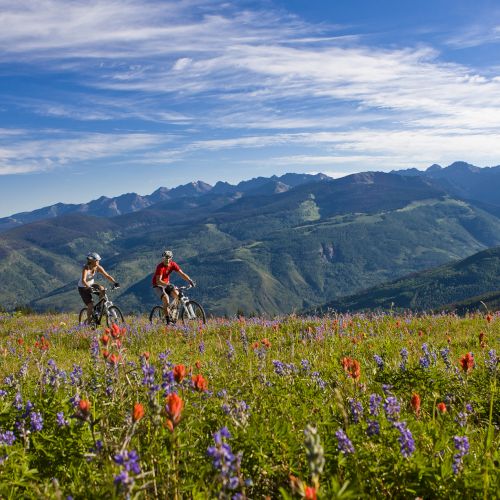 Two cyclists ride through a vibrant meadow filled with wildflowers, with mountains in the background under a clear blue sky, enjoying nature.