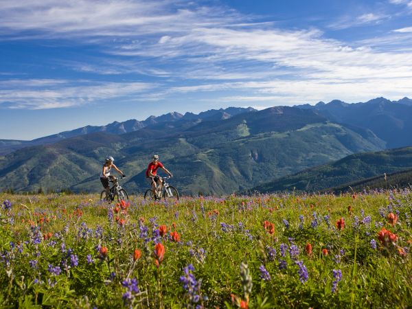 Two people are riding mountain bikes through a colorful wildflower field with a scenic mountain range in the background under a blue sky.