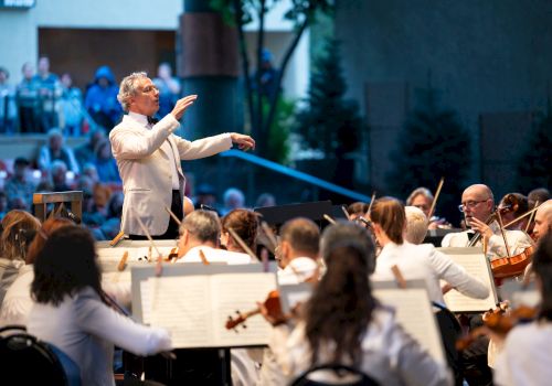 An orchestra conductor leads a group of musicians during a performance, with an audience in the background.