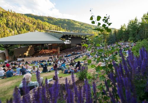 A serene outdoor concert with people seated on the grass, set against a backdrop of lush, green hills and framed with blooming purple flowers.