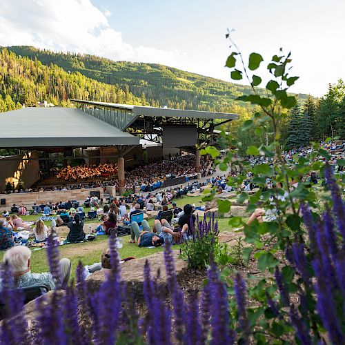 A serene outdoor concert with people seated on the grass, set against a backdrop of lush, green hills and framed with blooming purple flowers.