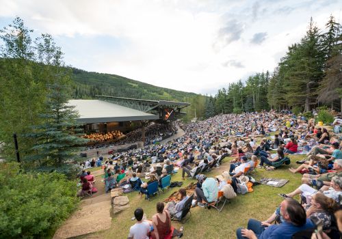 A large crowd attending an outdoor concert in a forested amphitheater with people sitting on the grass, enjoying the performance under a cloudy sky.