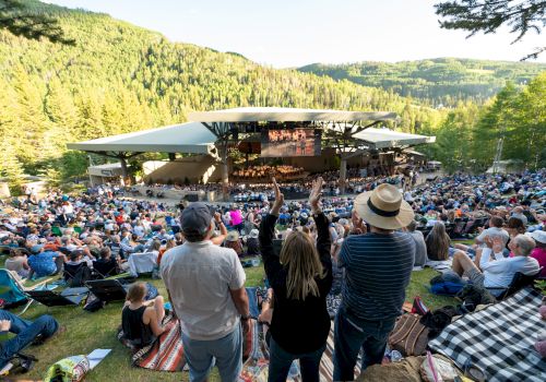 An outdoor concert in a mountain setting with a large audience, some standing and cheering, enjoying the performance on a clear day.